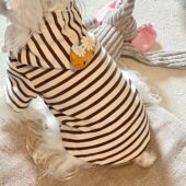 春秋款 宠物小狗狗衣服连帽卫衣条纹色马尔济斯比熊泰迪猫咪可爱风