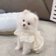 狗狗裙子小狗夏季 春秋衣服宠物小型犬泰迪比熊博美茶杯犬猫咪薄款