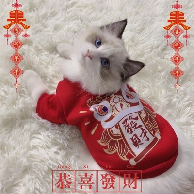 猫咪衣服秋冬新年狗狗宠物