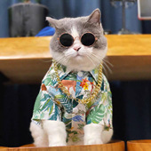 花衬衫 泰迪布偶猫蓝白美短猫猫衣服宠物装 猫咪衣服小型犬薄款 夏季