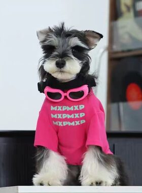 小狗狗宠物衣服春秋夏季薄款韩版衣服小型幼犬泰迪比熊博美猫咪红
