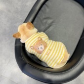宠物狗狗衣服秋冬加厚法斗小型犬泰迪巴哥加厚柯基衣服防掉毛保暖