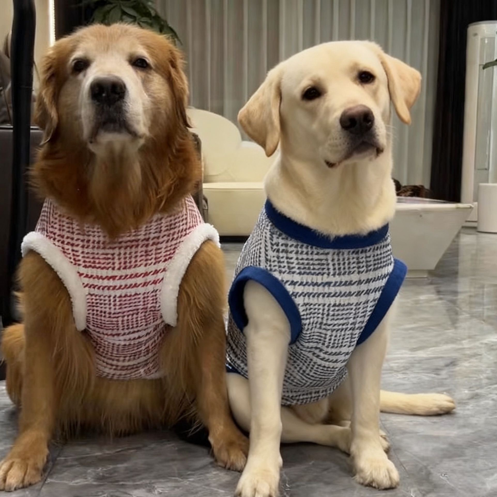 金毛衣服冬天加厚保暖小香风大狗哈士奇萨摩耶中大型犬宠物衣服