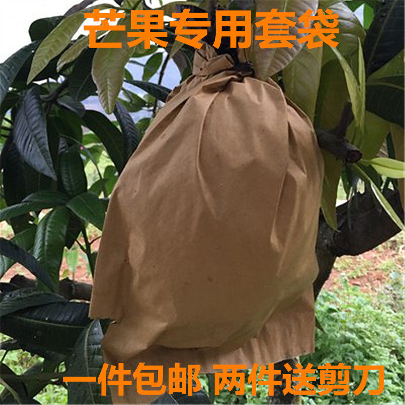 芒果套袋专用袋芒果树套袋双层防水防鸟枇杷保护袋芒果袋子包邮