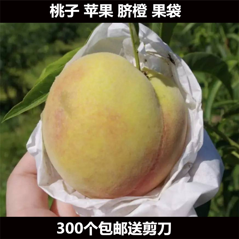 水蜜桃脐橙百香果柠檬番石榴杨桃无花果套袋单层果袋防水防虫包邮