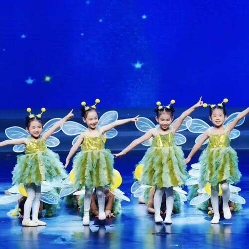 出租儿童蓬蓬裙演出服闪亮的星萤火虫幼儿小精灵舞蹈女童纱裙表演