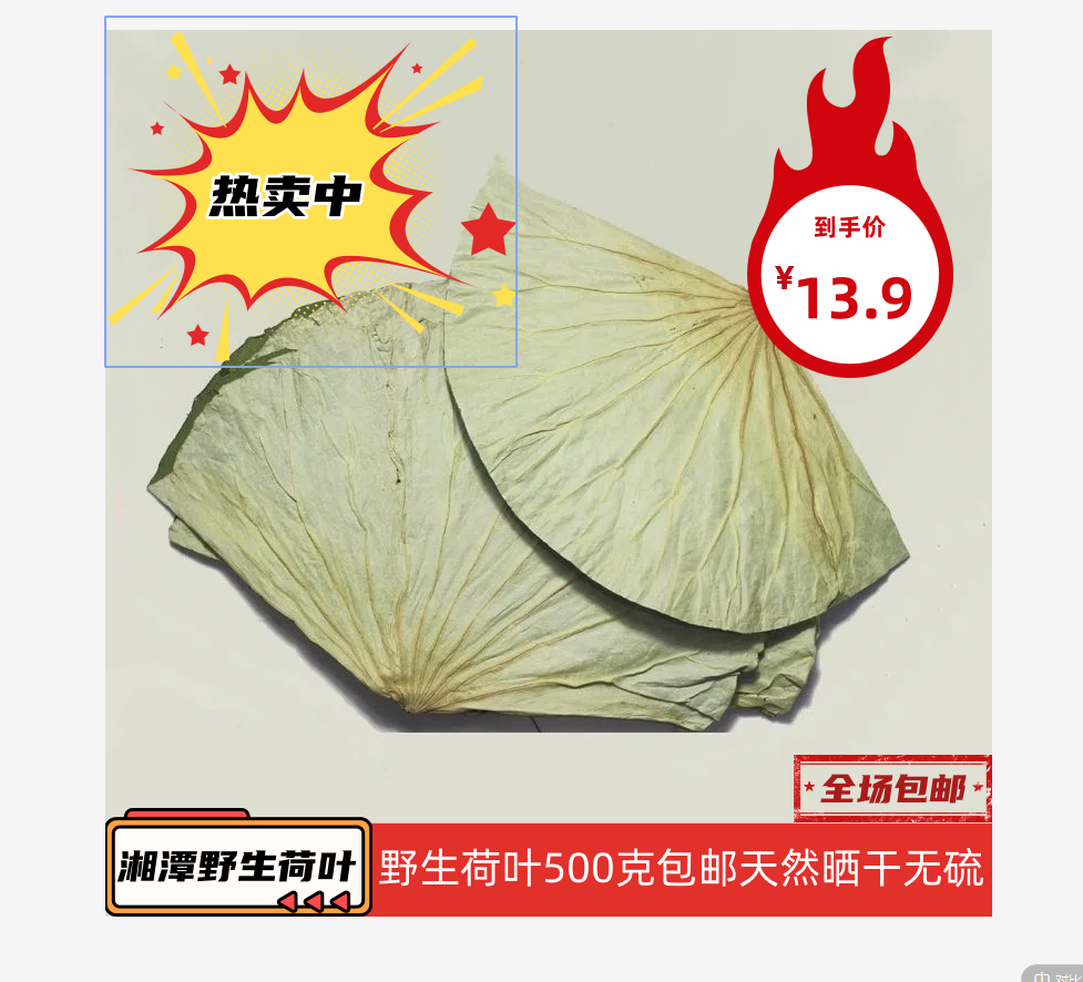 荷叶片新鲜泡茶滋补荷叶
