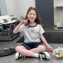 大童修身圆点短袖t恤女童韩版短款上衣大童洋气女孩2025夏装新款