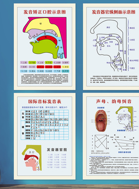 发音矫正口腔示意图挂图宣传画音标拼音发声器官解剖图贴纸WSD21