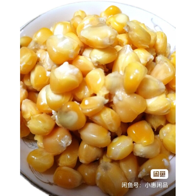 给鱼吃点好的观赏鱼天然发酵玉米饲料 喂的健康快乐鱼生