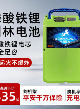 24V割草机电动锂电池48V36V21大容量磷酸铁锂水泵背负式园林专用