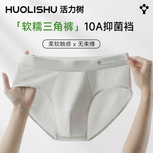 三角内裤 衩秋冬新款 纯棉裆抗菌吸汗透气舒适男式 裤 短裤 活力树男士
