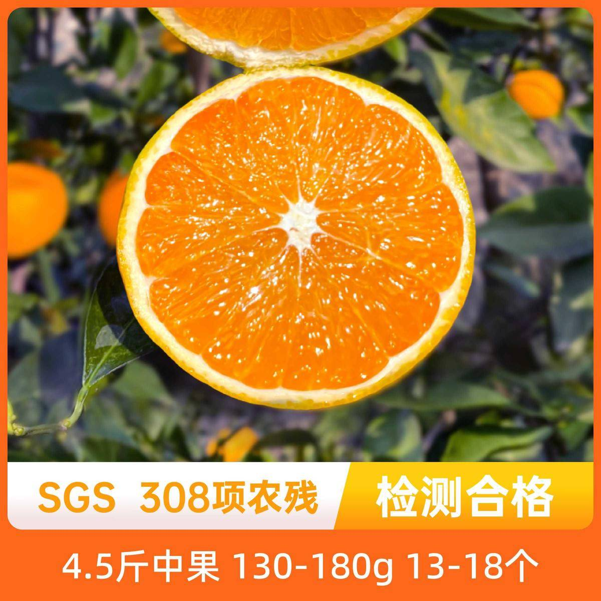 辰颐物语湖北秭归九月红脐橙新鲜现摘当季橙子不打蜡水果产地直发,水产肉类/新鲜蔬果/熟食,桔子,淘宝优惠券,粉丝福利购,淘宝优惠卷