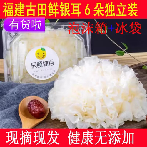 辰颐物语福建古田新鲜银耳鲜活白木雪耳出胶软糯6朵深山无硫现摘