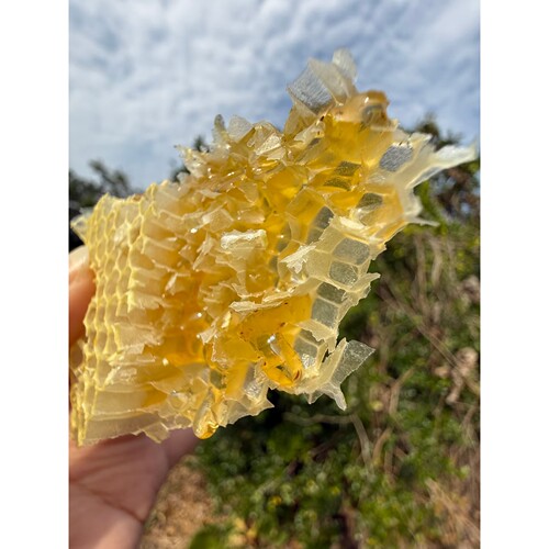 西双版纳深山野生百花蜜