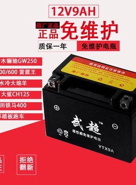 摩托车电瓶YTX9-BS黄龙600/300光阳250贝纳利GW25012V通用干电池