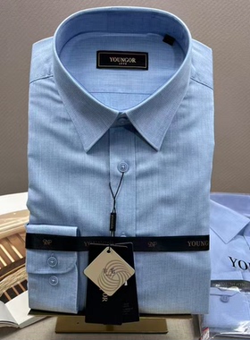 【羊毛DP】雅戈尔男士免烫衬衫长袖商务休闲修身秋冬季119700HJY