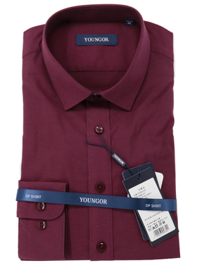 雅戈尔男士长袖衬衫休闲商务修身版DP免烫衬衣16278