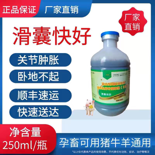 滑囊快好鸡鸭鹅关节炎关节肿胀跛行瘫痪滑液囊炎支原体卧地不起