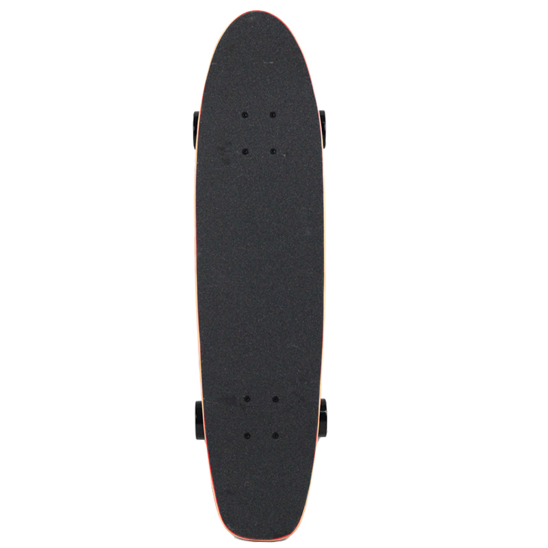 Skateboard pour homme femme enfant - Ref 2594165 Image 3