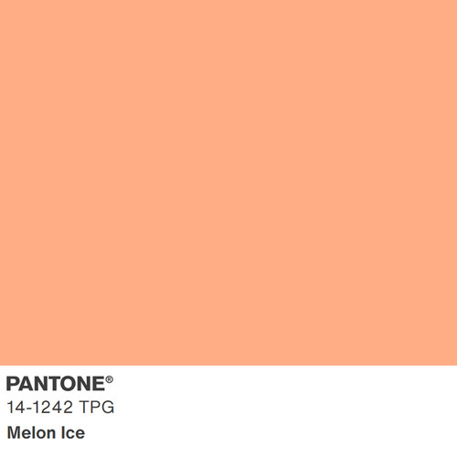 2024新版色彩 13-1307TPG 至 14-3512TPG 大型TPG纸版色卡 TPG单张色卡Pantone潘通服装家居色卡