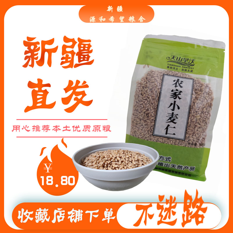 新疆天山旱沃新鲜去皮发芽麦子
