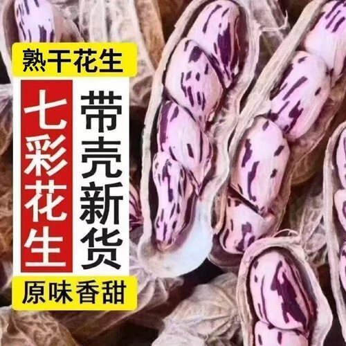 福建特产七彩花生闽西龙岩水煮咸干湿烤带壳新鲜炒熟坚果年货零食