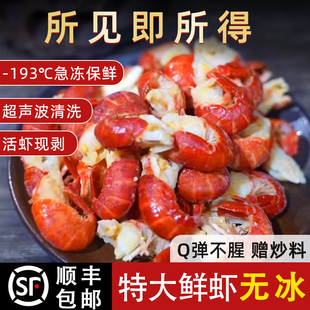 余胖子冷冻鲜活龙虾尾生鲜虾球无冰衣特级大号虾尾鲜冻小龙虾尾