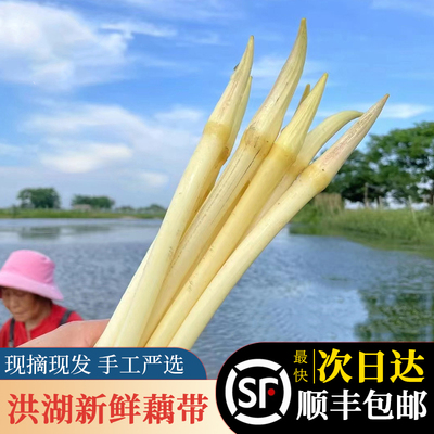 顺丰余胖子湖北特产藕带