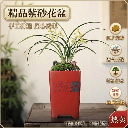 紫砂兰花专用花盆高款兰草盆陶瓷紫砂四方室内中式悬崖飘枝造景盆