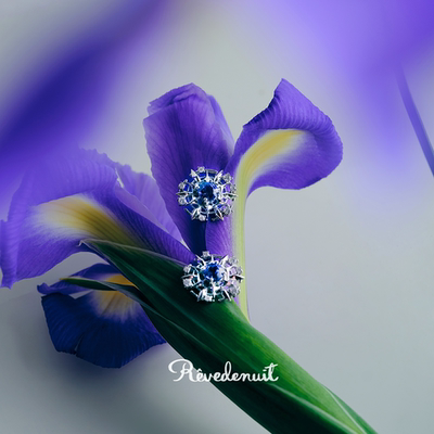 【Fairytale】系列临雪之境耳饰培育蓝宝石925银镀18K金轻奢小众