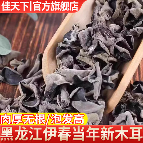 木耳东北黑木耳干货小碗耳长白山椴木野生秋耳肉厚无根特产级送礼