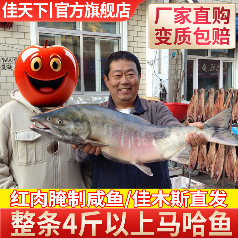 咸大马哈鱼东北特产抚远纯江红肉马哈鱼干新鲜整条传统腌制咸鱼干