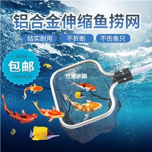 鱼捞水族箱抄网捞鱼网兜中大型鱼缸用铝合金伸缩手抄锦鲤加长鱼网