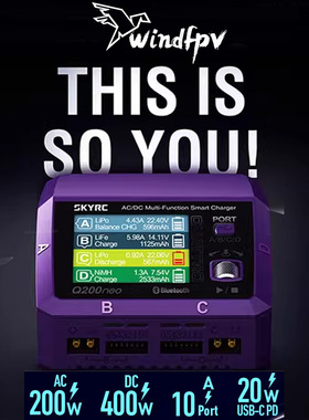 SKYRC Q200neo充电器 AC/DC双输入 智能多功能可用各种电池类型