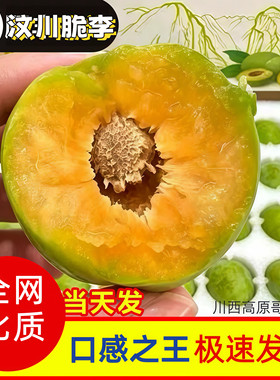 正宗四川青脆李李子汶川红脆李青脆李脱骨李江安李宜宾非重庆脆甜