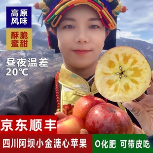 阿坝州茂县糖心苹果非糖心汶川茂县理县九寨沟苹果小金现摘现发甜