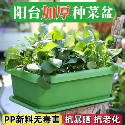 全新加厚长方形树脂种菜大花盆