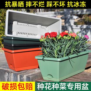 长方形种菜盆家庭阳台大号霍伦长条塑料花盆厂家直销批发带托盘