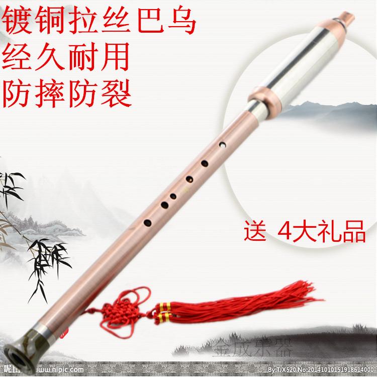 竖吹巴乌g调f调初学演奏型防摔