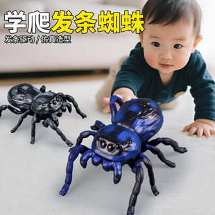 儿童趣味仿真发条上链蜘蛛上弦知了甲壳虫爬行会跑 婴儿宝宝玩具