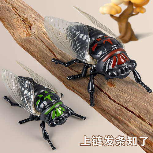 儿童仿真动物金蝉模型发条