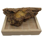 新疆正宗药材50克配方泡酒钓鱼专用药鱼饵钓鱼窝料四季 臭阿魏 包邮