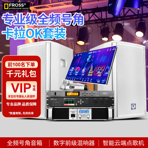 Fross/沸斯专业家庭ktv音响套装
