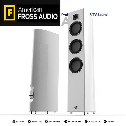 fross沸斯100专业音箱单元十寸
