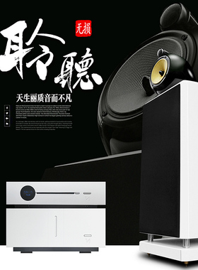 db-two PRINCE-2 HIFI音响套装全频高保真家用无源发烧落地音箱