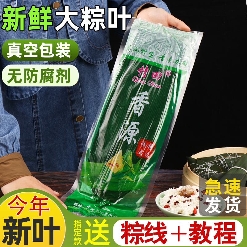 价格优惠精品粽叶湖北