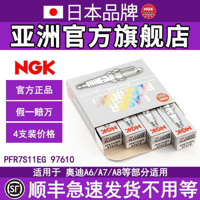 NGK奥迪4/6支装双铂金火花塞