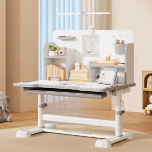 小学生高级儿童学习桌椅套装 可升降学生家用写字桌子写字椅课桌椅