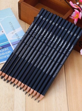 14 graded pencils drawing sketching tones shades art artist